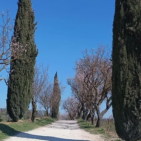 La Perla, Quiete Ed Eleganza Con Vista Barbarano Vicentino